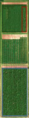 Row selection in remote sensing from four-row plots of maize and sorghum based on repeatability and predictive modeling